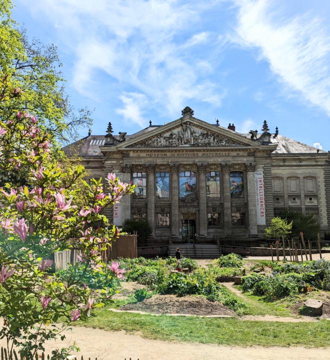 Façade Muséum