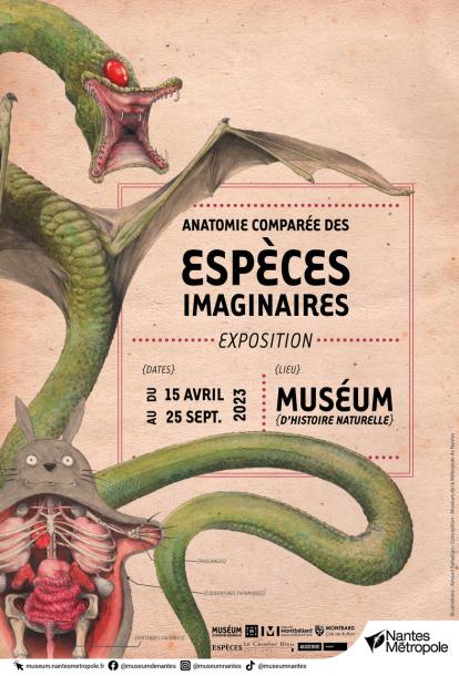 Affiche Anatomie imaginaire